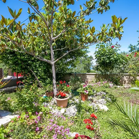 Mirca 732b Apartman Mirca (Brac)